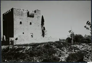 Square stone tower with battlements and small arched windows, with a tall narrow tree beside it on open ground