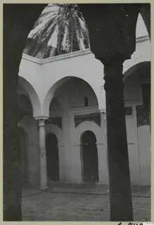 Courtyard of a whitewashed building with arcades, a palm tree growing in the open centre, and a dark column in the foreground.
