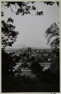 Landscape view through overhanging branches across fields and a village, with a rounded hill in the distance
