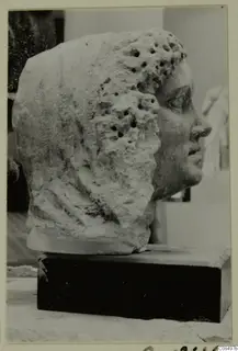 Carved stone head in profile facing right, with curly hair pitted by drill holes, on a dark rectangular base