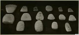Group of about sixteen pale grey stone objects arranged in three rows on a dark background