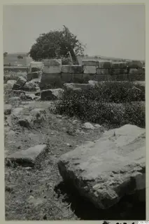 Ruined wall of large squared stone blocks with a tree above and fallen stones in the foreground