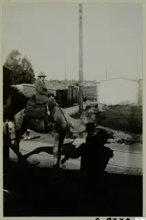 Woman in a hat riding a camel along a road past low whitewashed buildings and a tall wooden pole