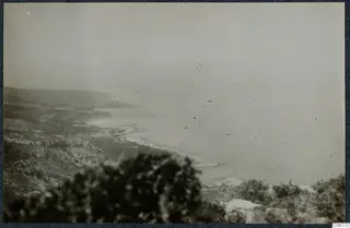 Hazy view across a curving coastline from higher ground, with dark shrubs blurred in the foreground.