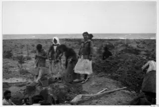 People working by a dug hole on a scrubby coast, with a bucket and tools in the foreground and the sea beyond