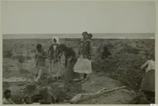 People digging beside a pit on flat ground by the sea, with a bucket and a wooden tool in the foreground