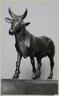 Bronze figure of a standing bull with upswept horns, photographed on a wooden base.