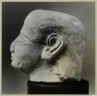 Limestone head sculpture in profile, facing left, with a number label, standing on a black cylindrical stand.