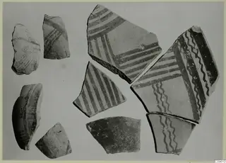 Several pottery sherds with dark painted bands, stripes and wavy lines, laid out on a light background.