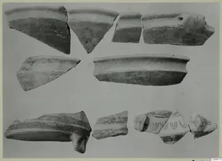 Pottery sherds of Lev. Hell. laid out in rows on a plain grey background