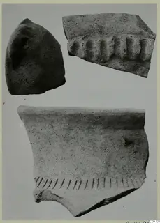 Three pottery sherds on a plain background, one with raised vertical ridges and one with a row of slanting incised strokes.