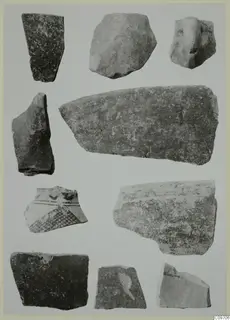 Ten pottery sherds on a pale ground, one with dark painted bands and cross-hatched decoration.