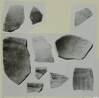 Pottery sherds from Palcoskoutella, several with parallel incised lines and grooves, shown on mounted cards