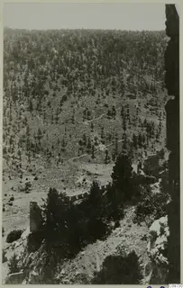 Wooded hillside in the Kyrenia Mountains with a ruined stone wall among dark trees in the foreground