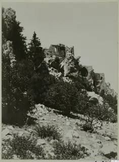 Ruined stone walls with an arched opening on a rocky hillside, among bushes and pine trees.