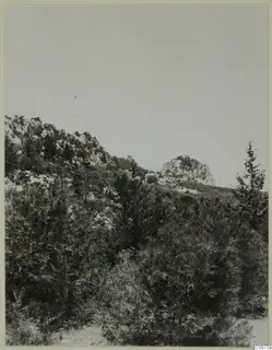 Rocky limestone hills rising behind dense scrub and trees in the Kyrenia Mountains