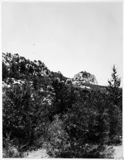 Dense scrub and rocky hillside of the Kyrenia Mountains under a pale sky