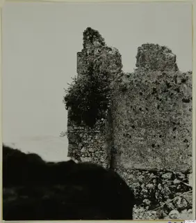 Ruined stone wall with a shrub growing out of it, dark bushes in the foreground, pale sky behind