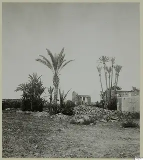 Ruins and palm trees at Famagusta, with a broken stone arcade behind palms and a rubble wall in the foreground.
