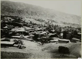 Hillside village of flat-roofed houses below a steep wooded mountain, with trees and terraced fields in the valley.
