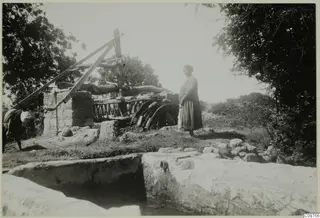 Woman standing by a wooden water-lifting wheel and a stone wall, with a donkey at the left edge
