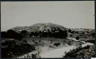 Flat-topped rocky hill with a tree-lined slope and a winding dirt road, at Paphos, Pano-Paphos, Kurion and Kalavaso