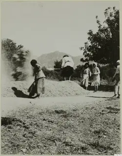 Women threshing grain on a bare ground at Kyrenia, with a mountain and trees behind