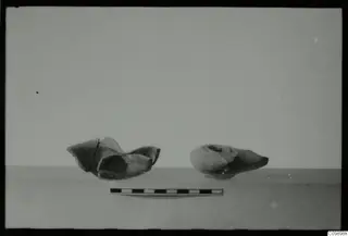 Two lamps side by side on a pale surface, with a scale bar in front of them