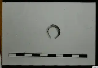Open ring with a rough dark surface, shown beside a banded scale bar on a pale background