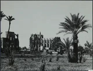Ruins at Famagusta: roofless stone walls with pointed windows rising among palm trees and scrub.