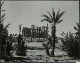Ruined stone building at Famagusta behind tall palm trees and a row of low sheds.