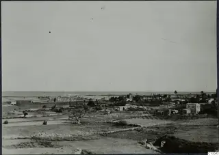View over Famagusta from above, with flat fields, low houses, palm trees and the sea on the horizon