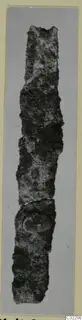 Corroded iron tool from Marion, long and narrow with a crusty surface.