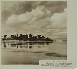 Hala Sultan Tekke mosque with its white minaret among dark trees beside the Larnaca salt lake under large clouds