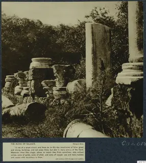 Ruined column drums, carved capitals and a tall upright block among bushes at Salamis