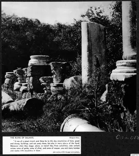 Ruins at Salamis: fallen column drums, carved capitals and a standing stone block among bushes.