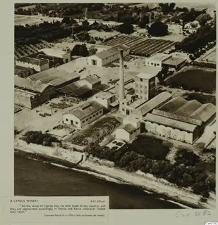 Aerial view of a winery at Salamis with sheds, a tall chimney, vineyard rows and the sea