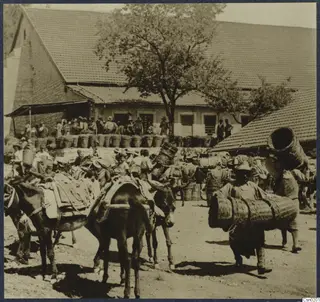 Yard with several loaded donkeys and mules, a crowd of people with stacked baskets, and a tiled-roof building with a tree