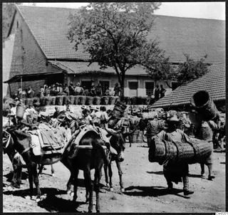 Busy yard with mules carrying packs and men with large baskets, in front of a stone building with a tiled roof and a tree.