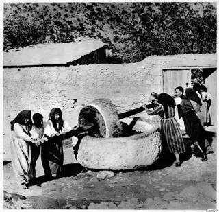 People pushing wooden poles to turn a large stone wheel in a circular stone trough, beside a pale stone wall.