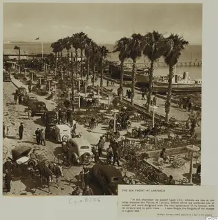 Printed photograph of a seafront promenade with palm trees, parked cars, a horse-drawn carriage and moored boats