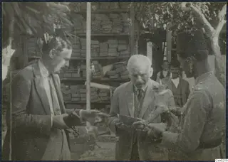 Three men examining small objects outdoors in front of stacked crates, with a tree at upper right.