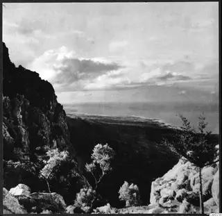 Steep rocky mountain slope with scrub trees overlooking a coastal plain and distant sea under clouds.