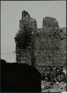 Ruined stone walls with a shrub growing from the wall top, against a pale sky, in the Kyrenia Mountains