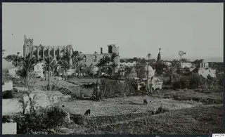 Ruined church with pointed windows, domed buildings and palm trees across an open field, with two animals in the foreground.