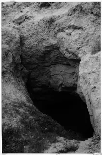 Dark opening cut into a pale soil bank, with grass at the bottom edge and a stone at upper left, Nicosia excavation