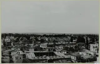 Rooftops of Nicosia seen from above, with a slender minaret and trees in the middle distance