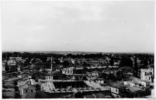 Elevated view over the rooftops of Nicosia, with a minaret rising among houses and a band of trees beyond.