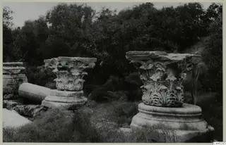 Two carved stone column capitals with acanthus leaves standing among grass and bushes at Salamis