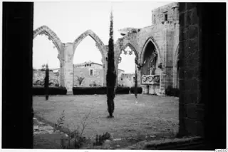 Ruined monastery with pointed arches around a grassy courtyard and a tall cypress tree.